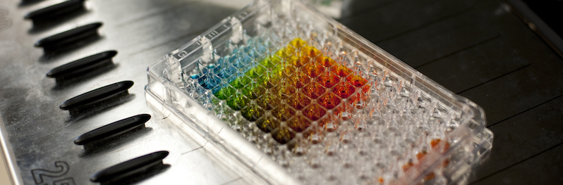 Empty vials sit on table in research lab