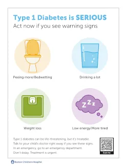 Type 1 diabetes fact sheet in English