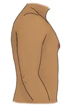 illustration of male body, from side view, with slightly enlarged breasts
