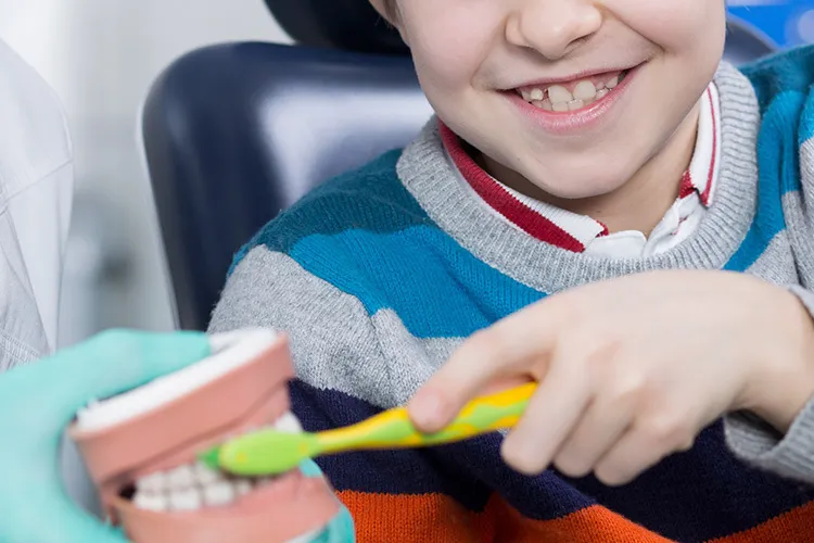 Child practices brushing teeth on set of false teeth