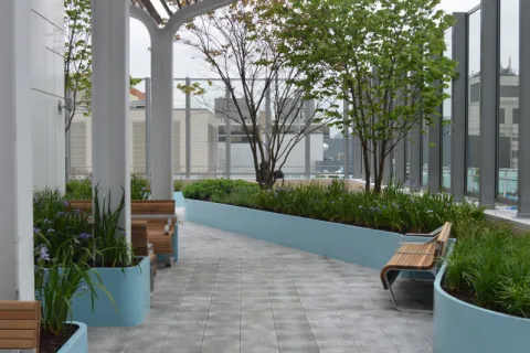 Hale Family Building rooftop garden